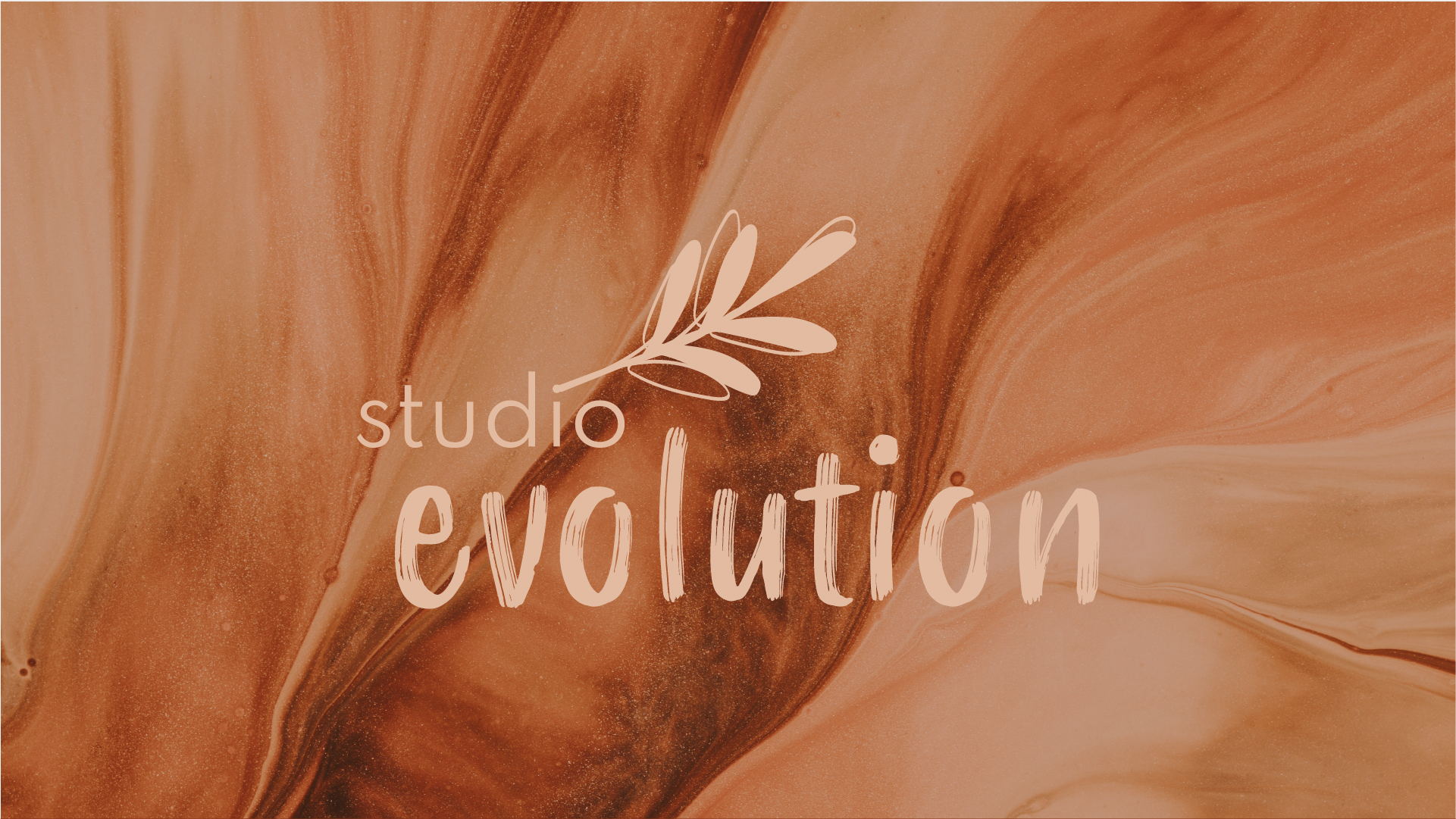 indentité visuelle logo studio evolution